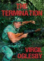 VI1993_1993_cover_web_2.jpg