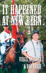 VI2004_2004_cover_web_1.jpg